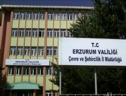 Kamuda yeni yapılanma